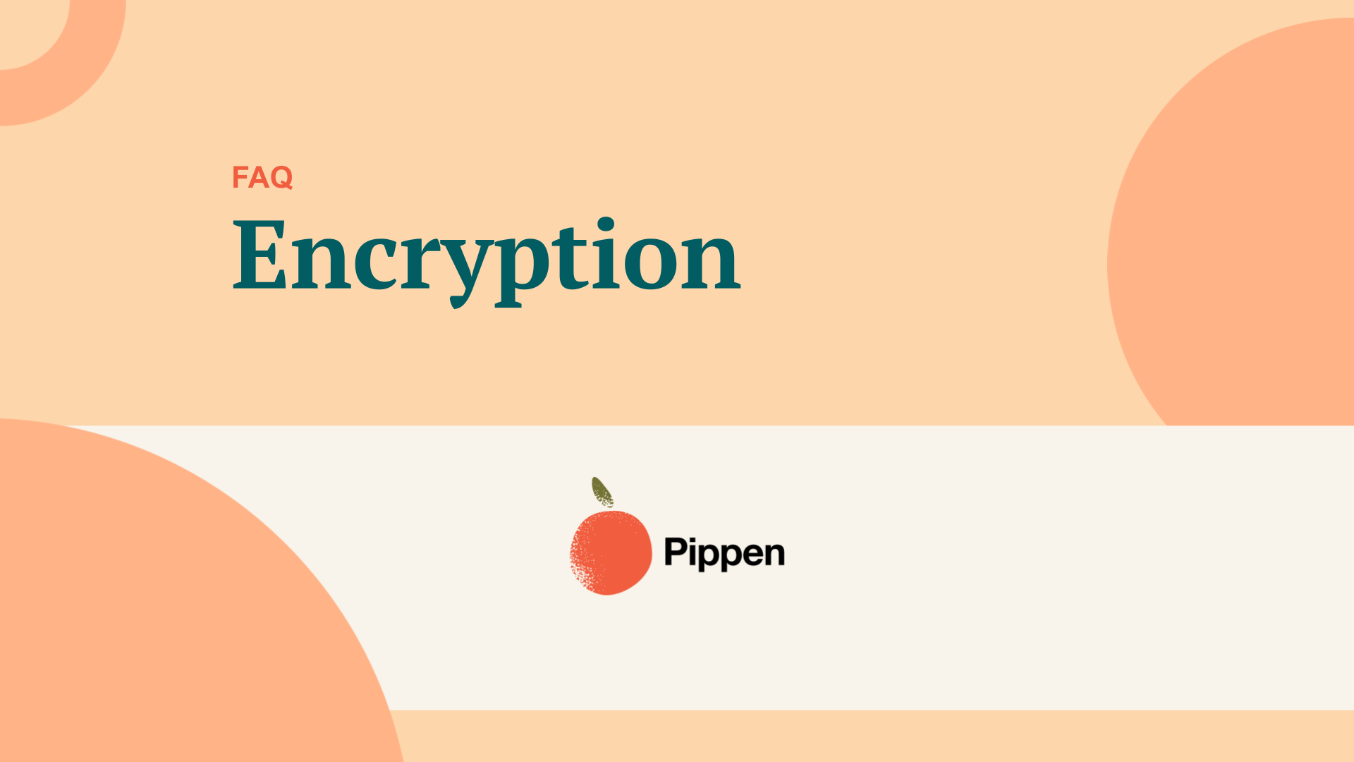 Pippen Encryption Standards: End-to-End Patient Data Security